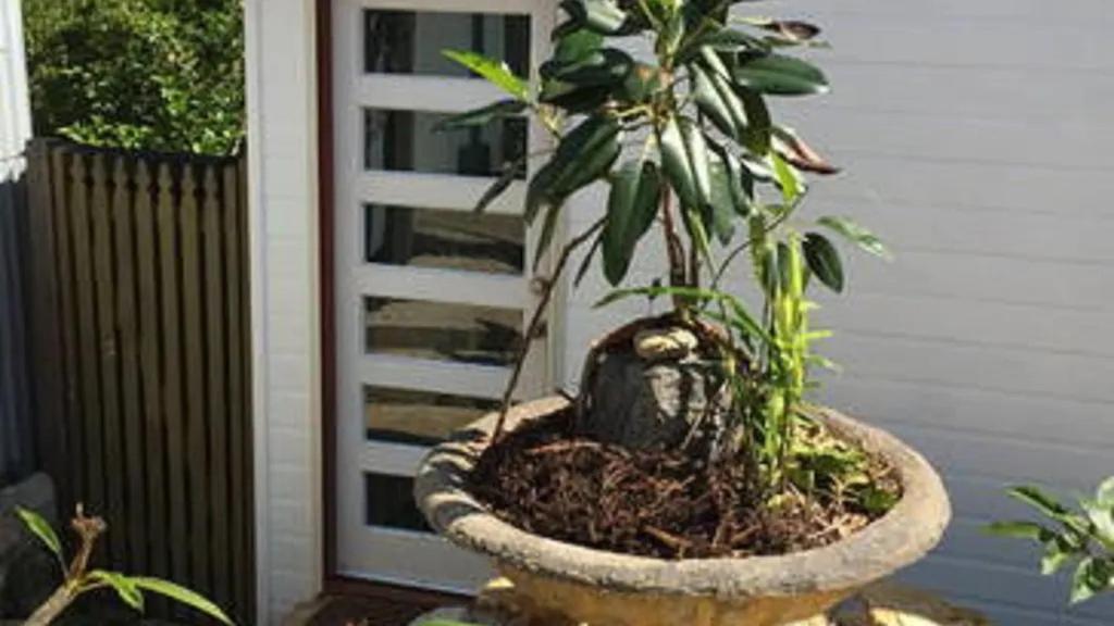 Potters Cottage Bellingen Εξωτερικό φωτογραφία