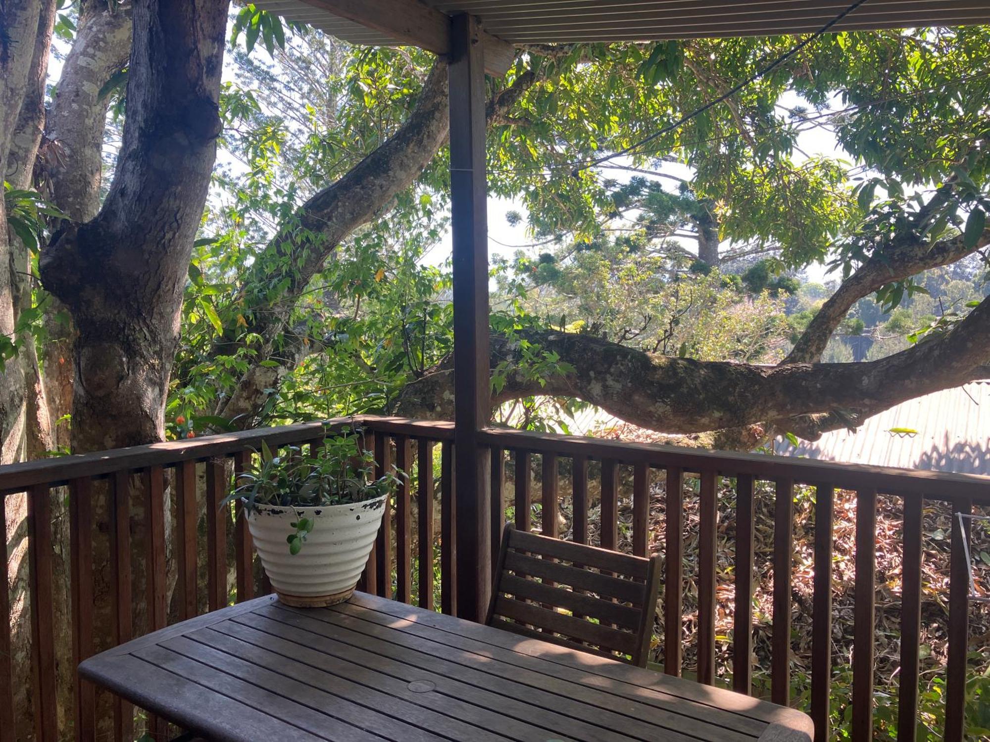 Potters Cottage Bellingen Εξωτερικό φωτογραφία